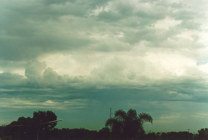 cumulus congestus : Oakhurst, NSW   30 November 1995