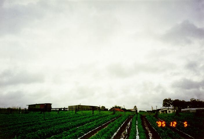 nimbostratus nimbostratus_cloud : Schofields, NSW   5 December 1995