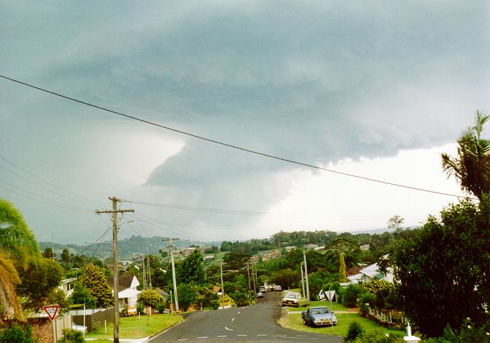 contributions received : Lismore, NSW<BR>Photo by Leith Martin   16 December 1995