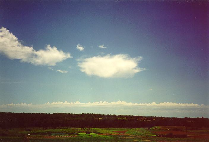 altocumulus castellanus : Schofields, NSW   18 December 1995