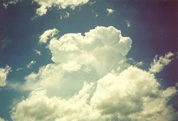 updraft thunderstorm_updrafts : Schofields, NSW   18 December 1995