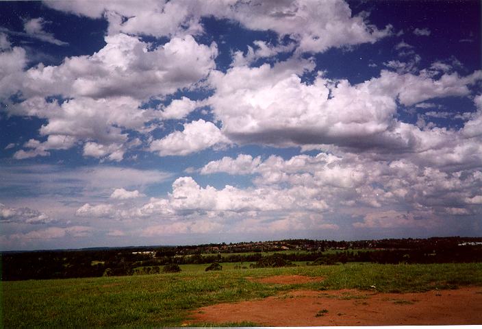 cumulus congestus : Rooty Hill, NSW   18 December 1995