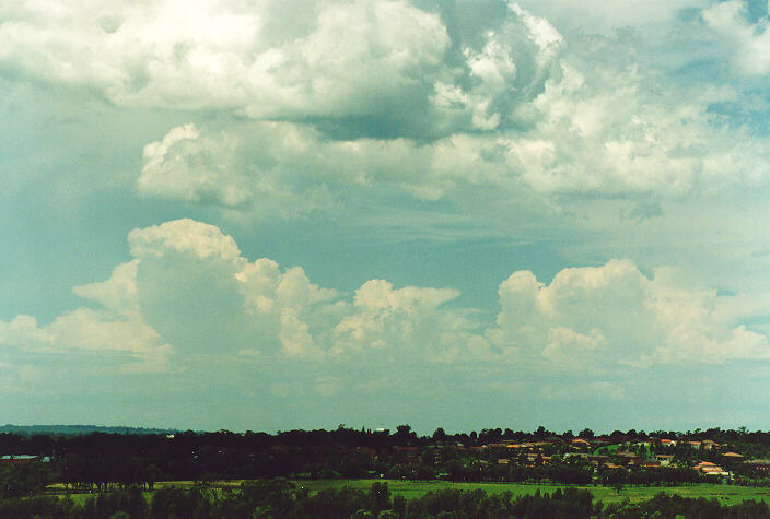 thunderstorm cumulonimbus_calvus : Rooty Hill, NSW   18 December 1995