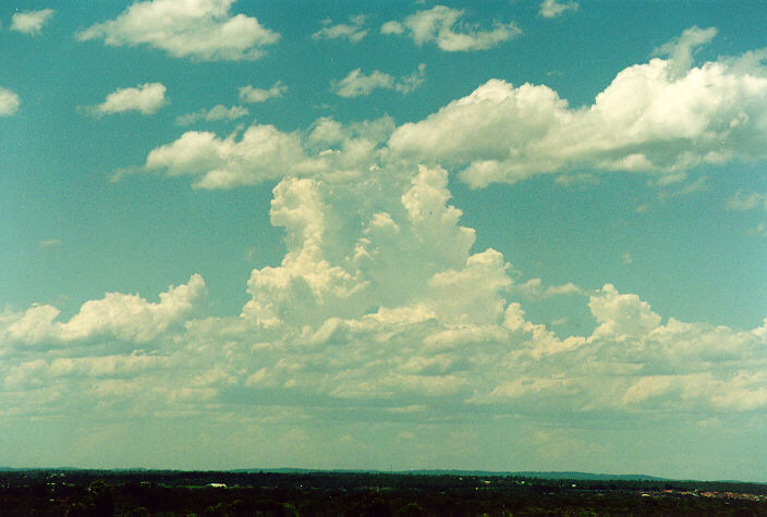 cumulus humilis : Rooty Hill, NSW   18 December 1995