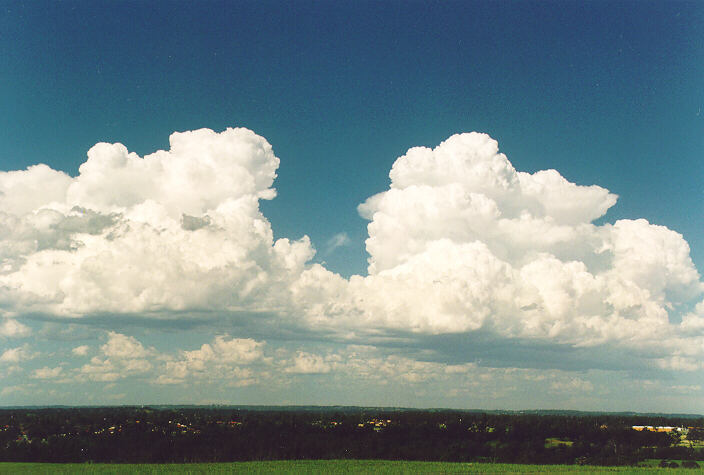 favourites michael_bath : Rooty Hill, NSW   18 December 1995