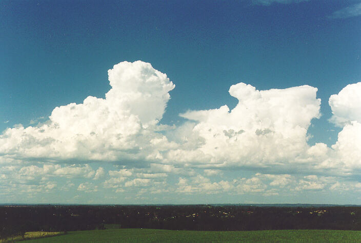 thunderstorm cumulonimbus_calvus : Rooty Hill, NSW   18 December 1995