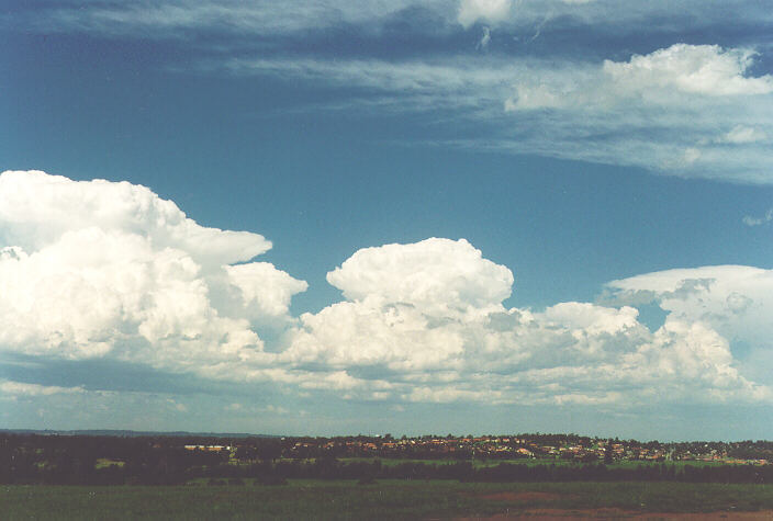 thunderstorm cumulonimbus_calvus : Rooty Hill, NSW   18 December 1995