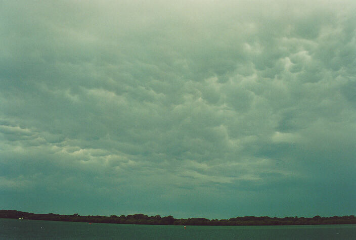 mammatus mammatus_cloud : Ballina, NSW   28 December 1995