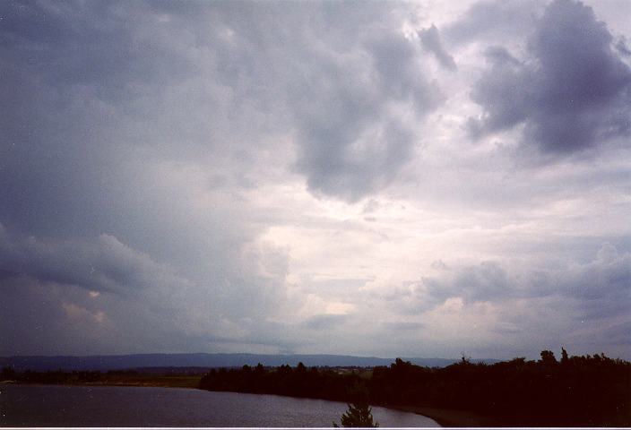 thunderstorm cumulonimbus_calvus : Freemans Reach, NSW   31 December 1995