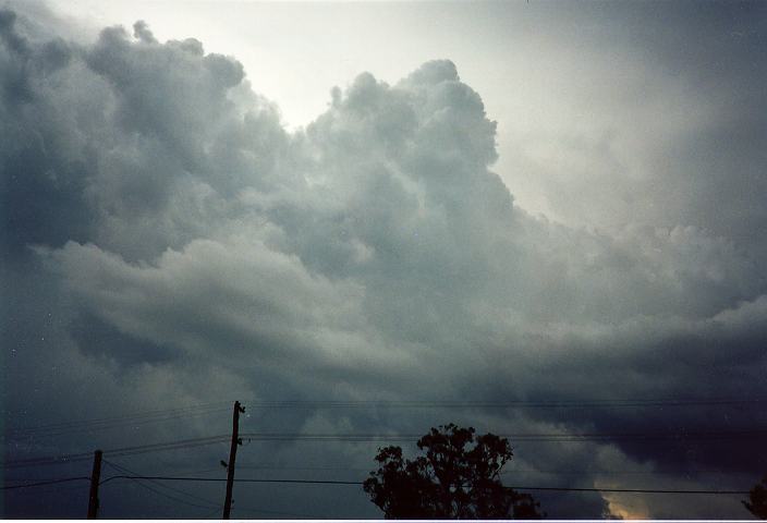 cumulus congestus : Schofields, NSW   19 January 1996