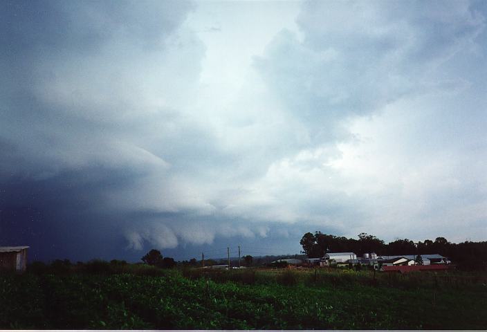 shelfcloud shelf_cloud : Schofields, NSW   19 January 1996