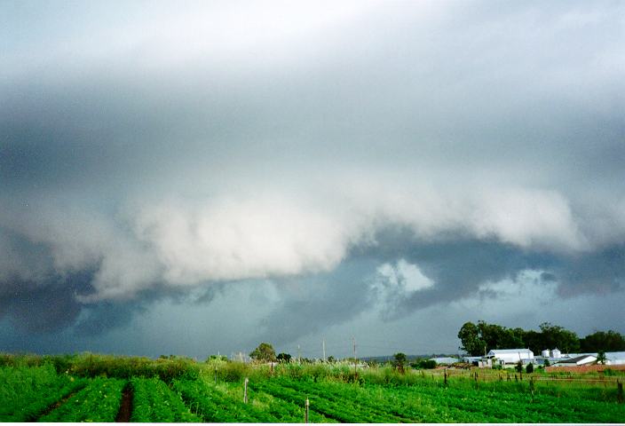 cumulonimbus thunderstorm_base : Schofields, NSW   19 January 1996