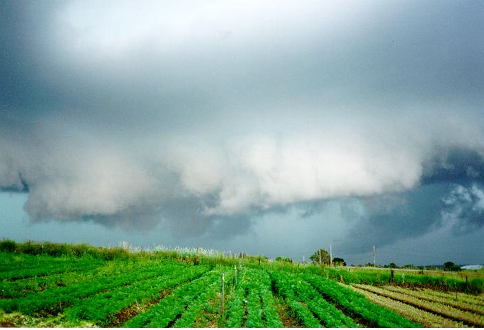 raincascade precipitation_cascade : Schofields, NSW   19 January 1996