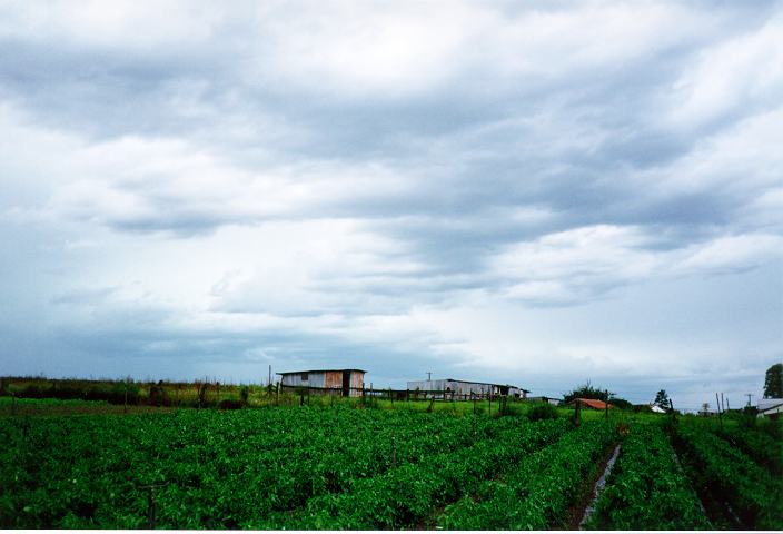 altocumulus altocumulus_cloud : Schofields, NSW   20 January 1996