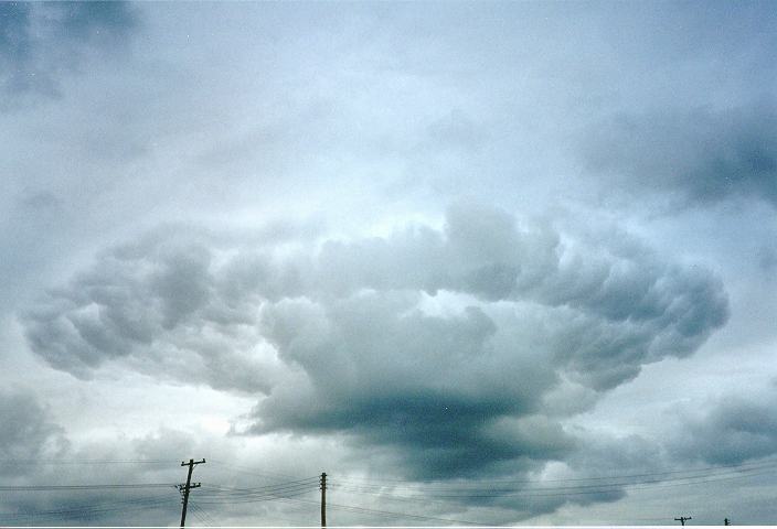 stratocumulus stratocumulus_cloud : Schofields, NSW   22 January 1996