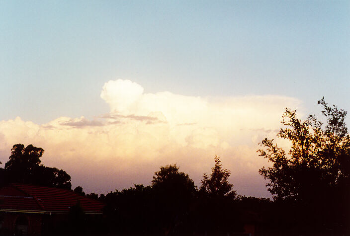 thunderstorm cumulonimbus_calvus : Oakhurst, NSW   25 January 1996