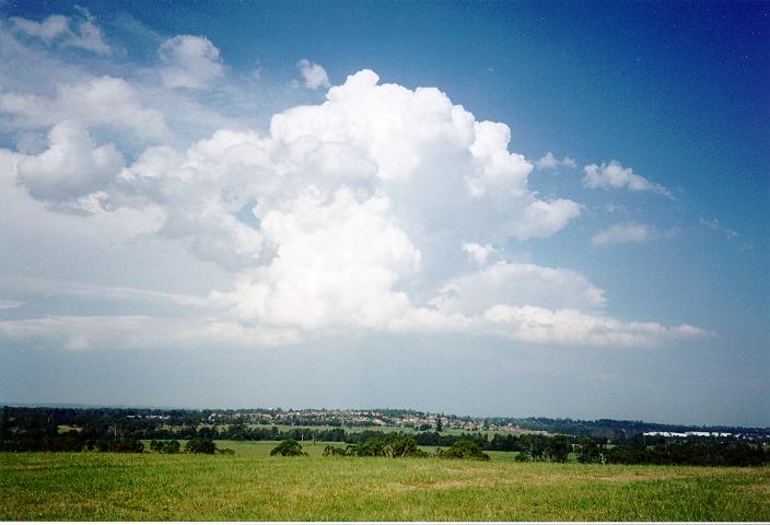 thunderstorm cumulonimbus_calvus : Rooty Hill, NSW   5 February 1996