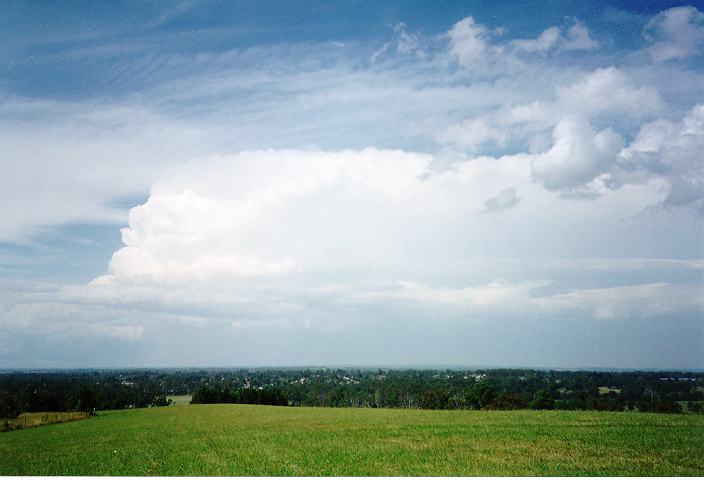 altocumulus castellanus : Rooty Hill, NSW   5 February 1996