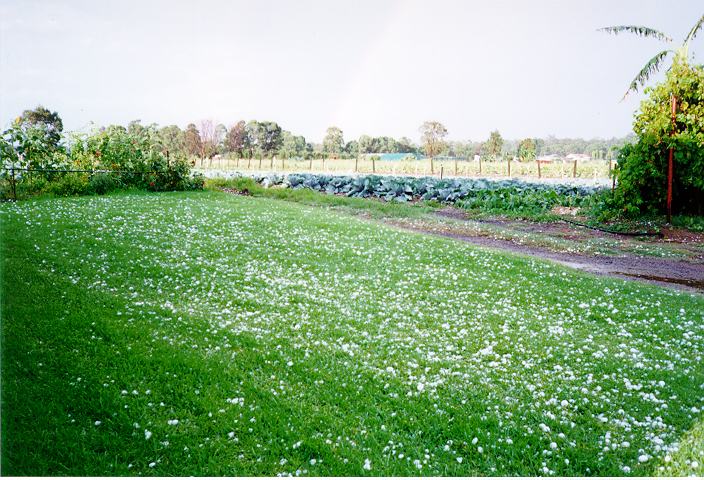 hailstones hail_stones : Horsley Park, NSW   5 February 1996