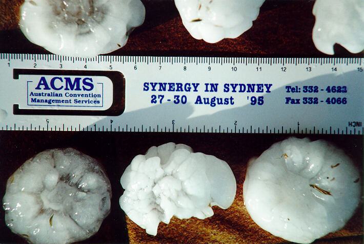 hailstones hail_stones : Horsley Park, NSW   5 February 1996