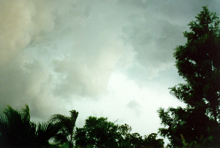 cumulonimbus thunderstorm_base : Oakhurst, NSW   8 February 1996