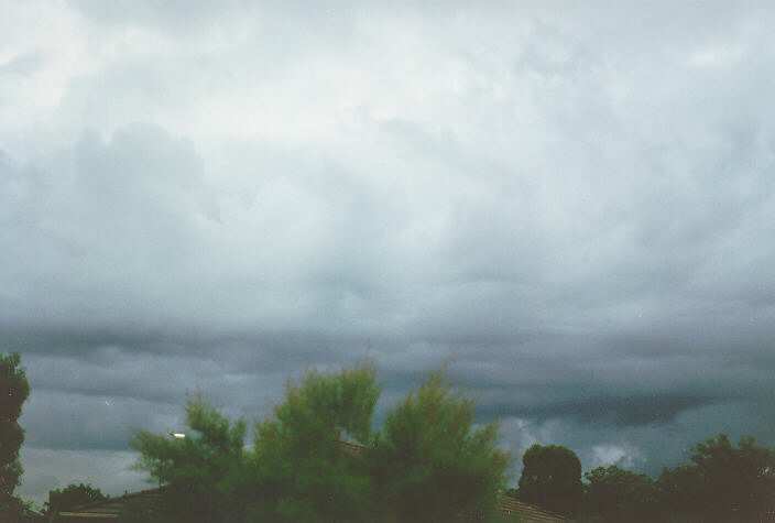 cumulus congestus : Oakhurst, NSW   10 February 1996