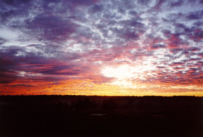 favourites jimmy_deguara : Schofields, NSW   6 June 1996