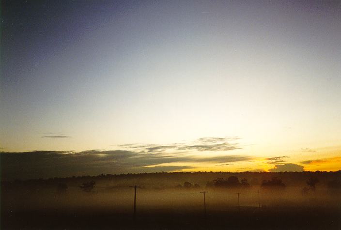 fogmist fog_mist_frost : Schofields, NSW   21 June 1996