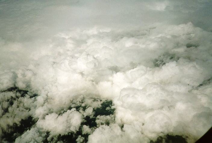 cumulus mediocris : Schofields, NSW   31 July 1996