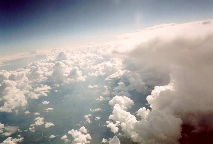 cumulus mediocris :    31 July 1996