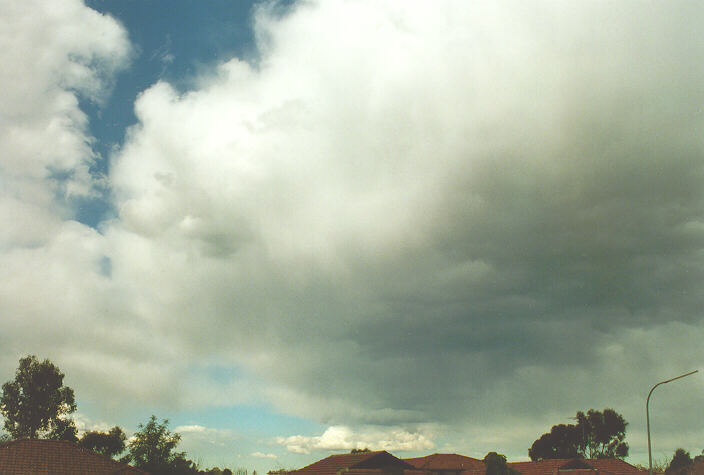 cumulus mediocris : Oakhurst, NSW   18 August 1996