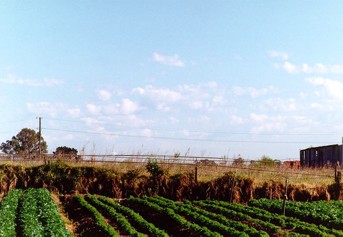 cumulus humilis : Schofields, NSW   27 September 1996