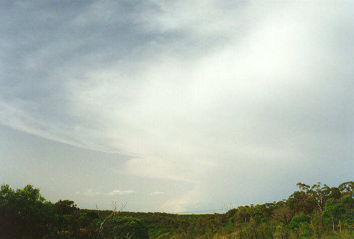 thunderstorm cumulonimbus_incus : Wyee, NSW   29 September 1996