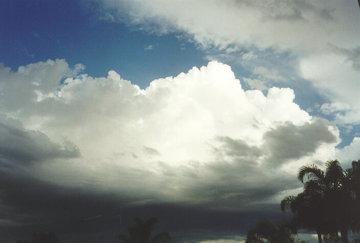 cumulus congestus : Oakhurst, NSW   29 September 1996