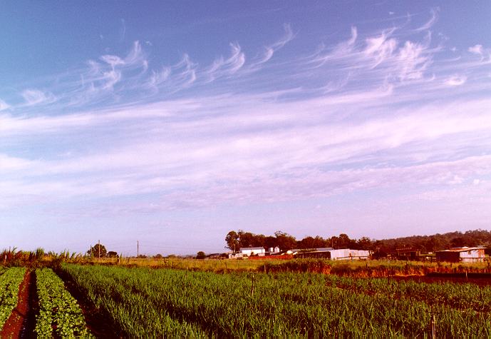 altocumulus altocumulus_cloud : Schofields, NSW   15 November 1996