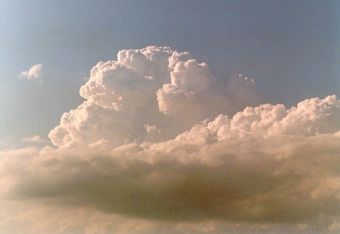 thunderstorm cumulonimbus_calvus : Freemans Reach, NSW   4 December 1996