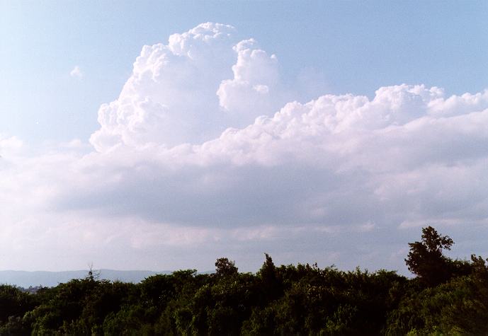 thunderstorm cumulonimbus_calvus : Freemans Reach, NSW   4 December 1996