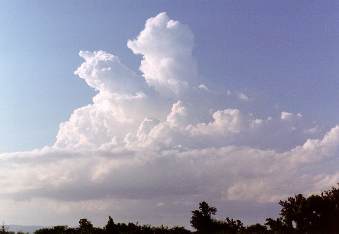 thunderstorm cumulonimbus_calvus : Freemans Reach, NSW   4 December 1996