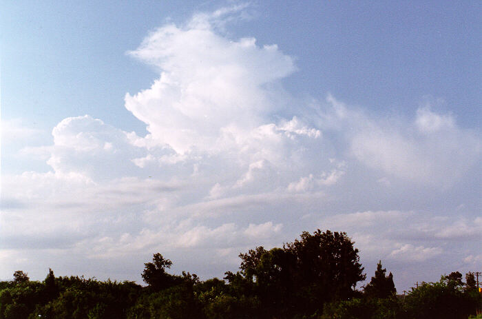 stratocumulus stratocumulus_cloud : Freemans Reach, NSW   4 December 1996