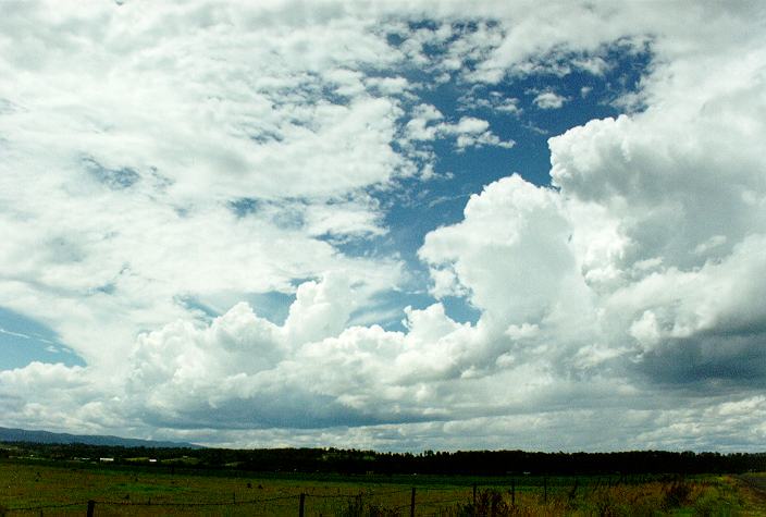 thunderstorm cumulonimbus_calvus : Richmond, NSW   7 December 1996