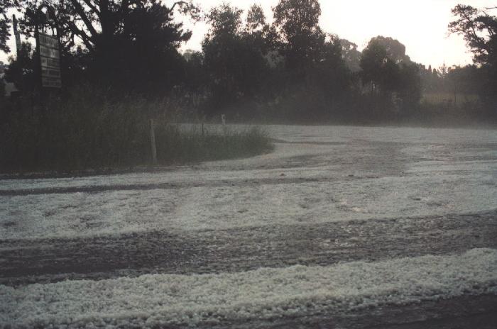 contributions received : Illawarra Tablelands, NSW<BR>Photo by Michael Thompson   11 December 1996