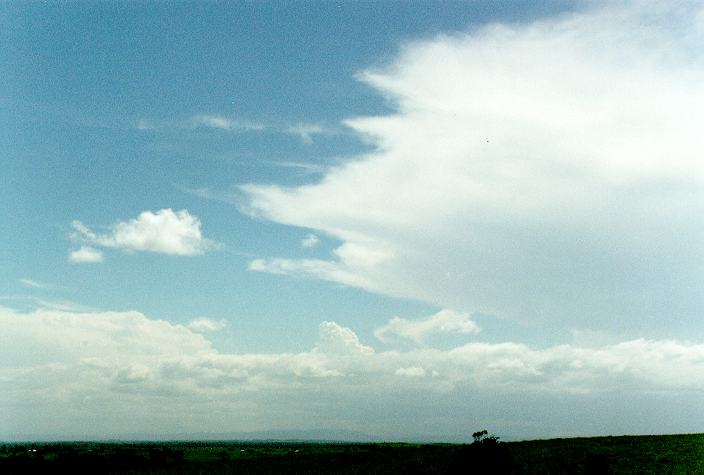 cumulus congestus : Parrots Nest, NSW   29 December 1996