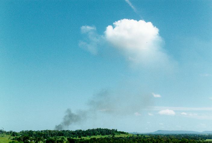 cumulus pyrocumulus : Parrots Nest, NSW   29 December 1996