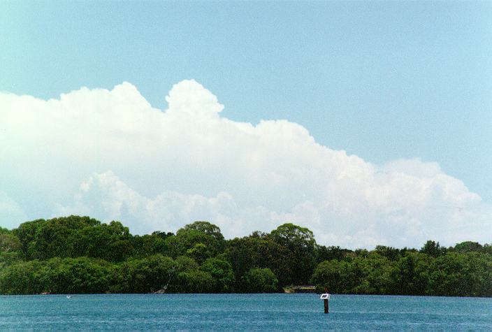 thunderstorm cumulonimbus_calvus : Ballina, NSW   31 December 1996