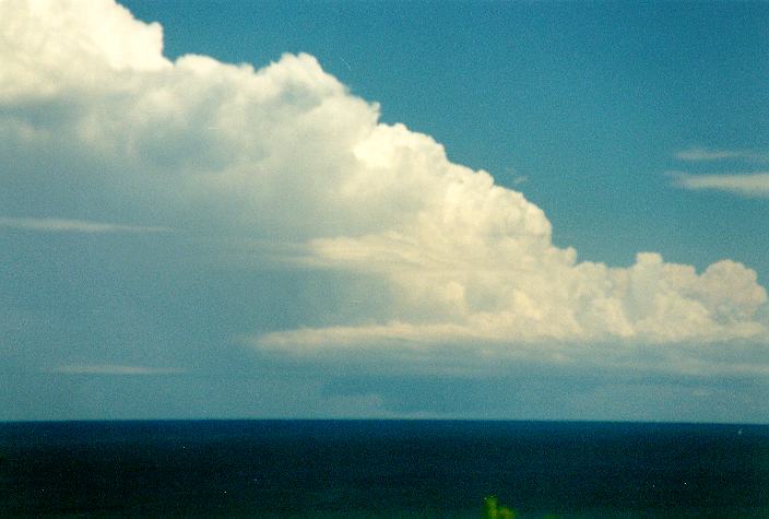 thunderstorm cumulonimbus_incus : Ballina, NSW   31 December 1996