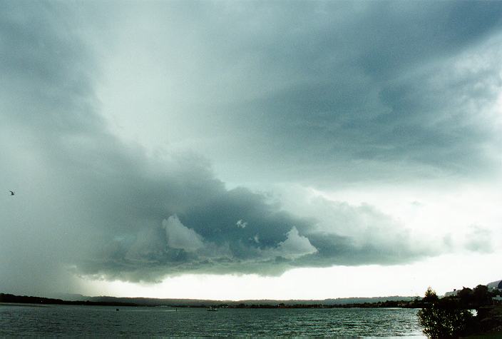 cumulonimbus thunderstorm_base : Ballina, NSW   31 December 1996