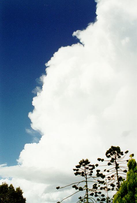 thunderstorm cumulonimbus_incus : Ballina, NSW   31 December 1996