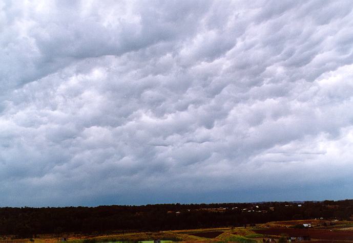 mammatus mammatus_cloud : Schofields, NSW   7 January 1997