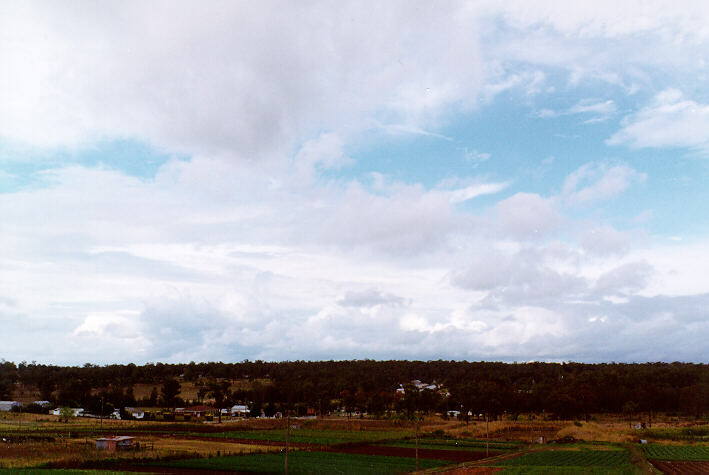 thunderstorm cumulonimbus_calvus : Schofields, NSW   26 January 1997