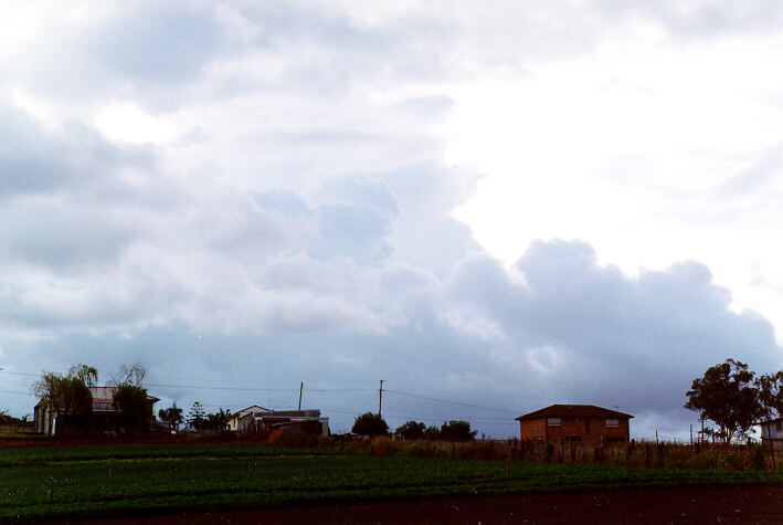 thunderstorm cumulonimbus_calvus : Schofields, NSW   26 January 1997